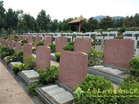 昭通树葬公墓多少钱？